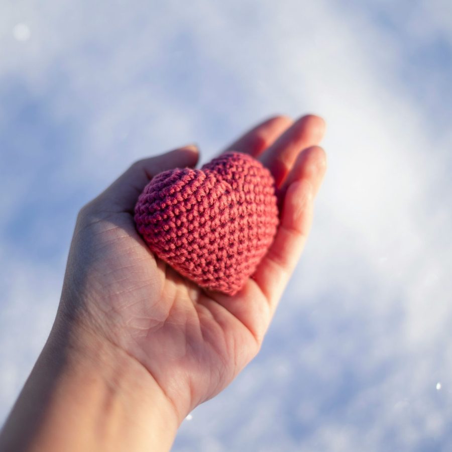 Linda-Voelker-Embodiment-Coaching_04